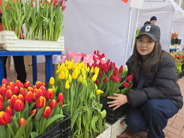 Очереди за весной: в Бишкеке впервые проходит Фестиваль тюльпанов