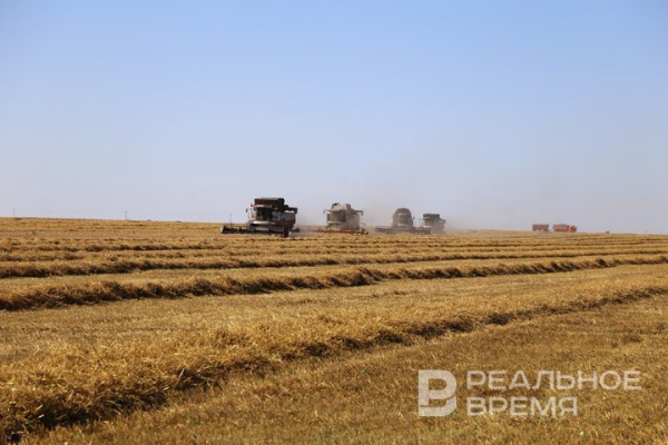 В Татарстане обработали более 2,5 млн куб. м пустых помещений для хранения зерна в 2025 году