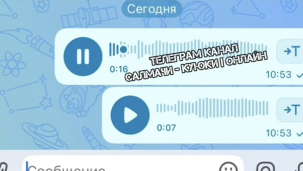 "Две тысячи тоже не хочешь?": под Казанью пенсионер предлагал детям интим за деньги 05/08/2026 &ndash; Новости
