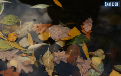 Погода в Актобе на 4-6 ноября