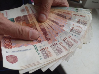 Многодетные семьи ждет новый бонус на портале &laquo;Госуслуги&raquo;
