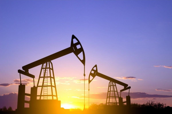 До 130 тыс. тонн ежемесячно увеличатся поставки казахстанской нефти в Германию