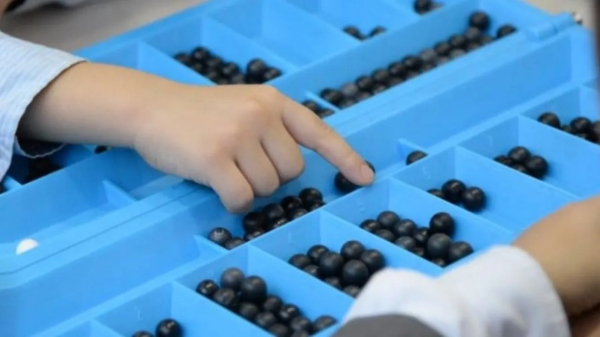 В Алматы стартует II чемпионат мира по тогызкумалаку среди юниоров