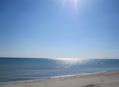 Россиянин испражнился посреди улицы в Паттайе из-за отсутствия туалетов