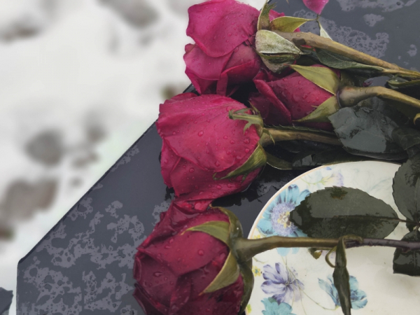 Озвучены подробности гибели чиновника из Новосибирска