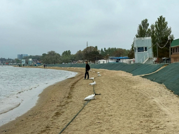 Сильное землетрясение произошло в Краснодарском крае