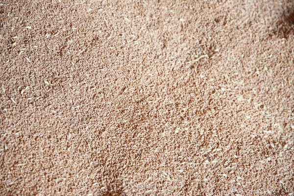 Первую партию казахстанской пшеницы доставили в Армению