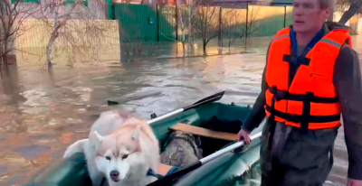 Меликов заявил об улучшении обстановки в Дагестане после наводнений