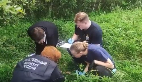 Ушла за лисичками и не вернулась: 12-летнюю девочку нашли мёртвой в садоводстве под Петербургом