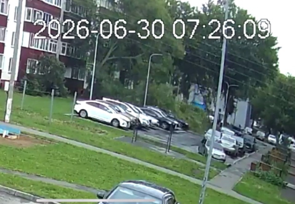 В Нижнекамске дерево рухнуло на припаркованные машины &mdash; видео
