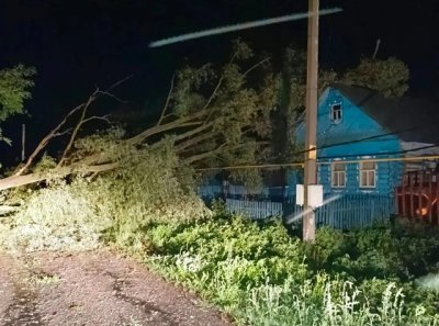 Непогода в Татарстане: один погибший, 20 поваленных деревьев и поврежденные авто