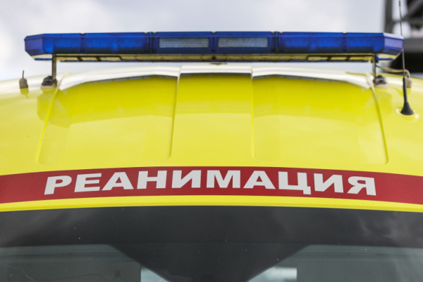 Мирошник раскрыл данные о погибших россиянах в период перемирия с Украиной