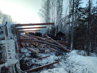 Смертельное ДТП в Бабаевском округе: водитель лесовоза погиб после опрокидывания