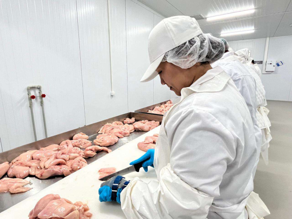 Открылся завод по выпуску полуфабрикатов из мяса птицы