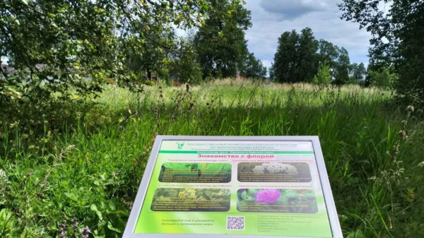 В Татарстане для туристов обустроены пять экотроп