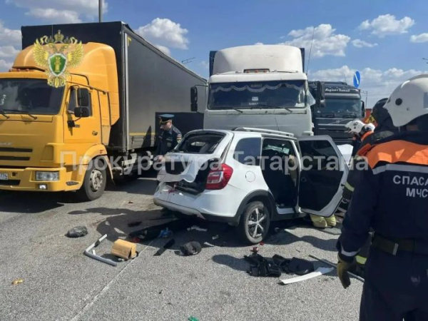 В Татарстане в лобовом ДТП с грузовиком погибли водитель и пассажирка легковушки