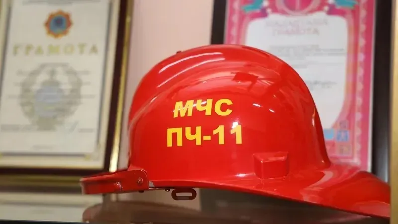 Забралась слишком высоко: в Туркестане спасатели провели необычную операцию