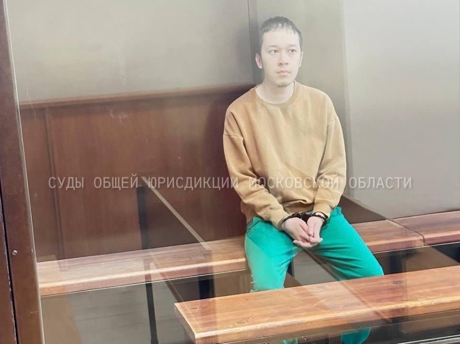 Задержан мужчина, изрезавший лицо девочке в Подмосковье