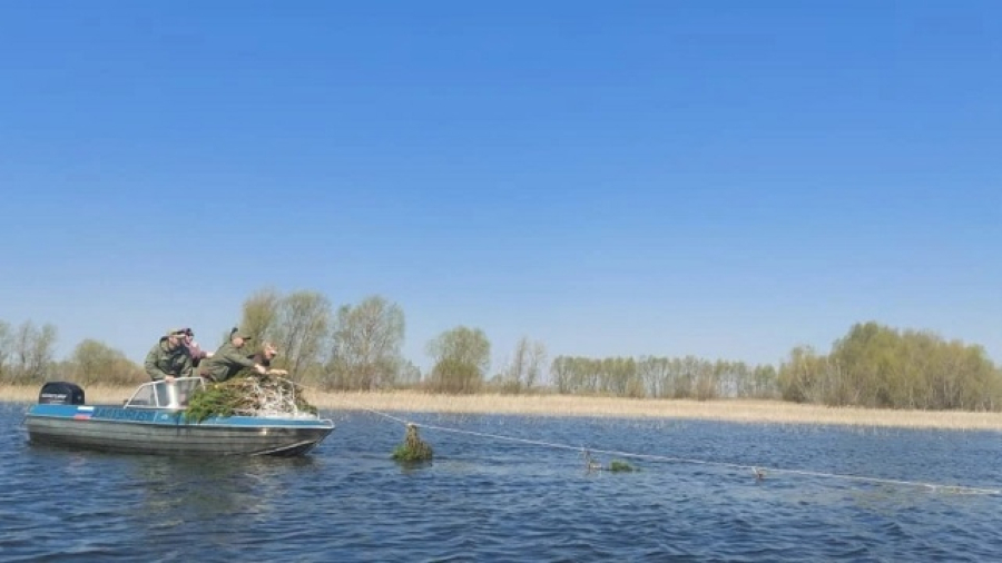 «Рыбе – быть!»: в Татарстане на Куйбышевском водохранилище установили первые нерестилища
